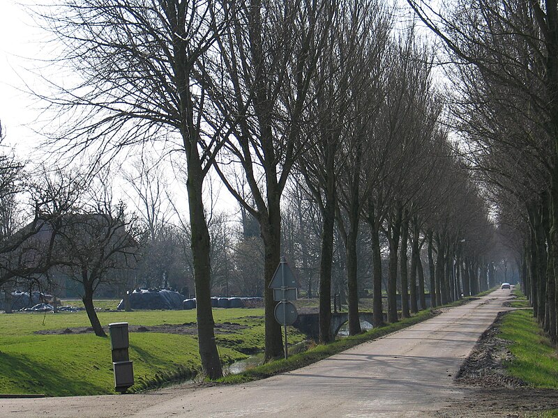 File:Kruispunt in de Purmer.JPG