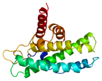 Image illustrative de l’article Protéine du rétinoblastome