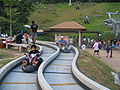 Sentosa Luge