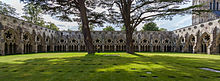 The cloisters