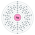 Neptunium - Np - 93