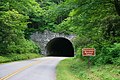 File:Rattlesnake Mountain Tunnel.jpg