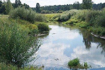 Wiks va Jizdra kuksa