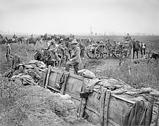 A British 18-pounder field gun battery taking up new positions close to a communication trench near Boesinghe, 31 July 1917, during the Third Battle of Ypres. Q5723.jpg