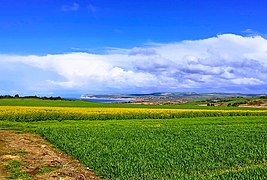 Cap Blanc-Nez vu d'Audinghen en 2019.jpg