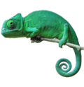 Thumbnail for File:Chameleon-PNG-Download-Image.png