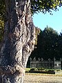 Großpetersdorf Friedhof