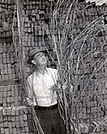 Joe "Daddy Burt" Burton, a recognized top Kentucky hemp farmer with harvested hemp, 1942. Photo by USDA War Board - Lexington, Kentucky.[186]