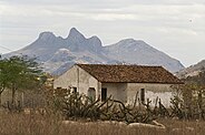 Casa aïllada en un paisatge semi-àrid típic del sertão, amb cactus, matolls secs i una muntanya rocosa sense vegetació.