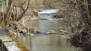 In Thüngen bei der Riedmühle