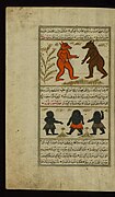 Muhammad ibn Muhammad Shakir Ruzmah-'i Nathani - Two Jinni of Aturan Island and Three Pygmies Found in the Sea - Walters W659151A - Full Page.jpg