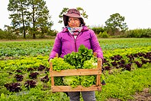 Una mujer campesina mostrando la producción agroecológica.