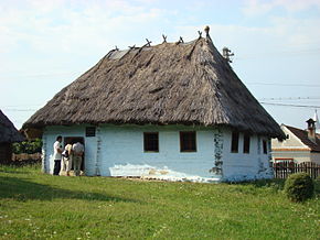 Muzeul Badea Cârțan