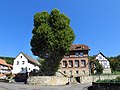 Linde auf dem Anger in Holzhausen