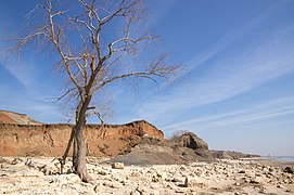 Merzhanovo, Sea of Azov, Coastline, Russia.jpg