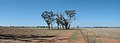 The site of Ben Hall's death at Billabong Creek