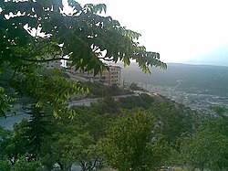 Typical grove in one of the valleys surrounding Idlib.