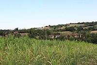 Miličinica - Panorama