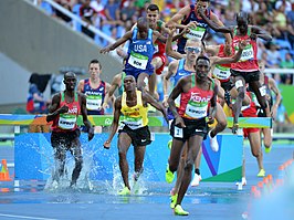 3000 m steeple op de Olympische Spelen in Rio de Janeiro (2016)