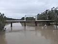 Old North Bourke bridge, in flood, southern side, North Bourke (2021).