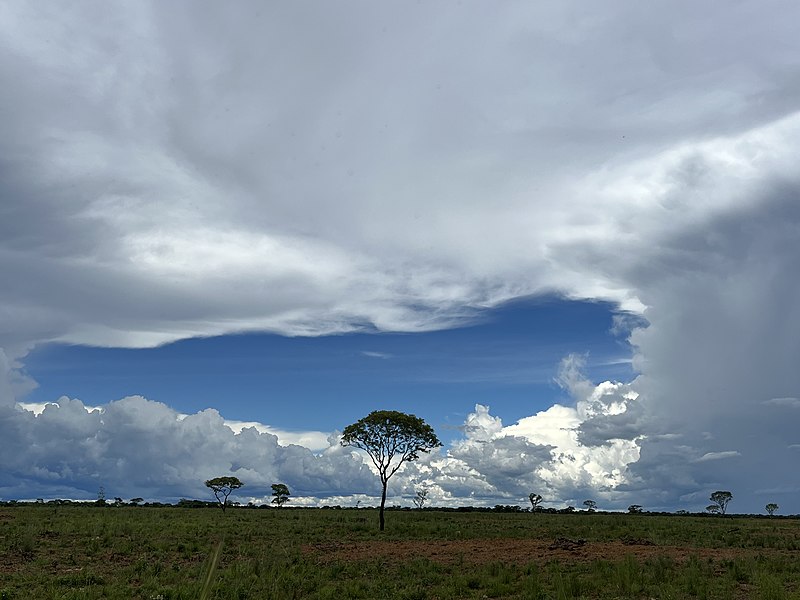 File:A break in the rain.jpg