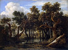 Jacob Isaaksz. van Ruisdael 015.jpg