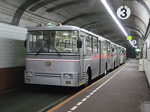 黑部大壩站停靠中的300形無軌電車（日语：関西電力300形無軌条電車）（2007年6月27日）