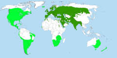 Distribuição do pardal: as áreas em verde escuro são as áreas de ocorrência original, a verde clara as áreas onde foi introduzido.