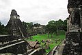 Templo Grande Jaguar em Tikal