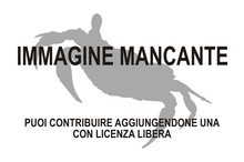 Immagine di Branchinecta gaini mancante