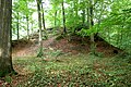 Burg Berge in Altenberg