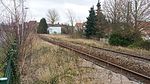 Ancien quai, partiellement recouvert par les herbes folles.