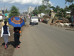 Downtown Ambo (March 2006)