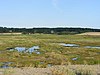 Dingle Marshes