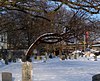 Old Gravesend Cemetery