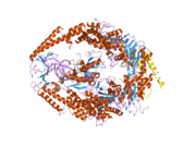 2o8c: human MutSalpha (MSH2/MSH6) bound to ADP and an O6-methyl-guanine T mispair