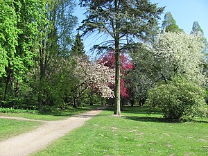 Hamburgs stadspark i Winterhude