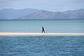 Sandbank bei Flut in der Inselgruppe Whitsunday Islands, Queensland