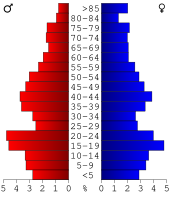 Bevolkingspiramide Howard County