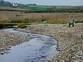 Le ruisseau de Kerharo à son débouché dans l'anse de Kervijen ; à l'arrière -plan le marais de Kervijen. Ce ruisseau forme la limite communale entre Plomodiern et Ploéven.