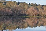 Reserva Natural do Paul do Boquilobo