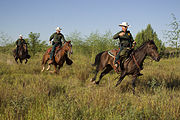 South Texas Border Patrol