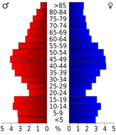 Bevolkingspiramide Blanco County