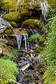 * Nomination Spring beneath the alpine pasture Jamnigalm in the Tauern Valley near Mallnitz, High Tauern National Park, Carinthia, Austria --Uoaei1 04:55, 12 November 2019 (UTC) * Promotion  Support Good quality. -- Johann Jaritz 05:34, 12 November 2019 (UTC)