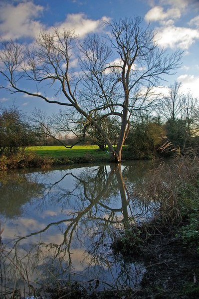 File:Chelmer Swing - geograph.org.uk - 291860.jpg