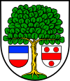 Wappen von Ellerstadt