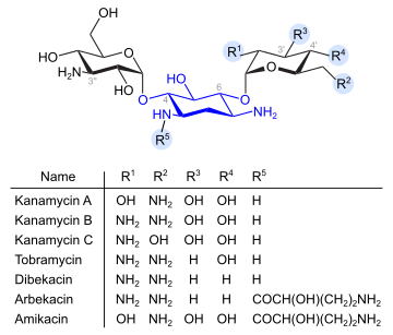Kanamycine und verwandte Verbindungen (blau: Desoxystreptaminstruktur)
