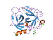 1spj: STRUCTURE OF MATURE HUMAN TISSUE KALLIKREIN (HUMAN KALLIKREIN 1 OR KLK1) AT 1.70 ANGSTROM RESOLUTION WITH VACANT ACTIVE SITE