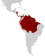 Distribución da especie.