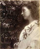 Maud – the Passion flower at the Gate, albuminový tisk 32.4 x 27.1 cm, 1875